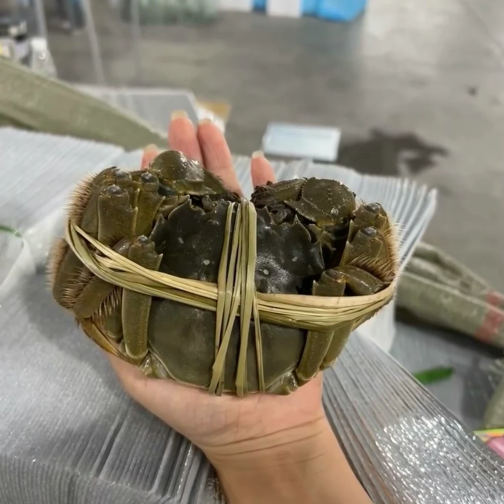 【东胜同城】江苏大闸蟹1.5-1.8母(2只)