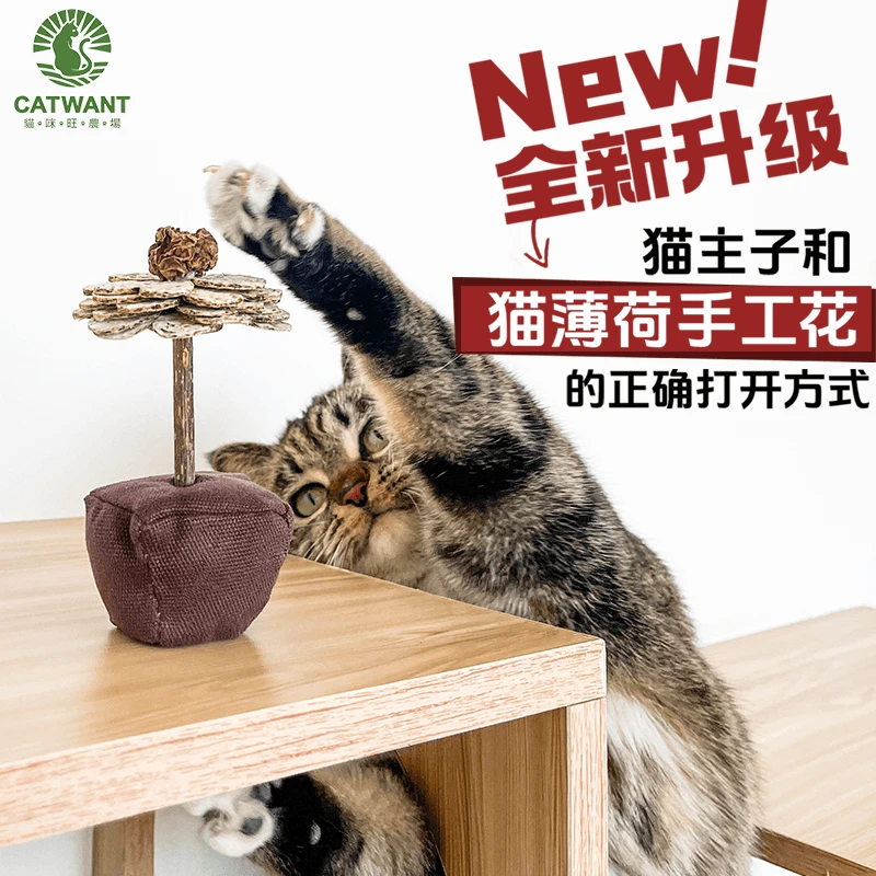 猫咪旺直播专享 猫薄荷纸花玩具系列猫玩具木天蓼猫薄荷