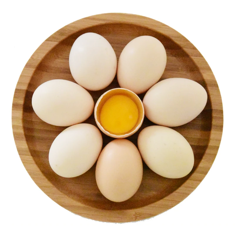 四川农村散养白壳鸡蛋纯正土鸡蛋30枚整箱