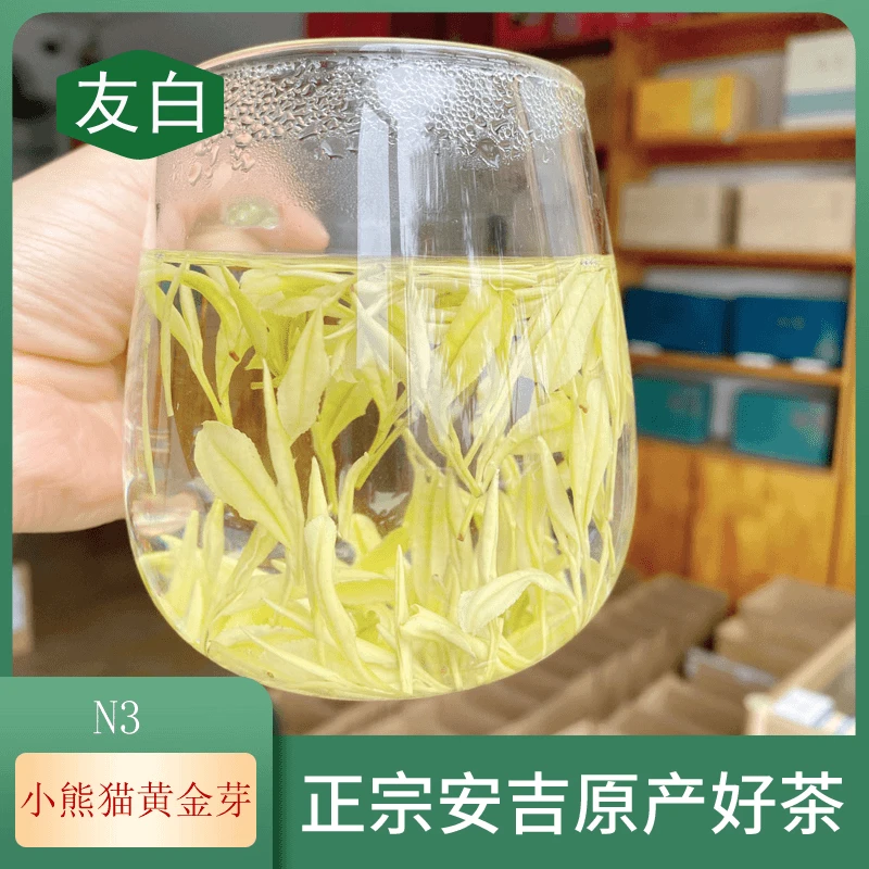 【N3 奶香黄金芽 奶色奶香】2025年新茶,安吉原产地茶香清香茶香