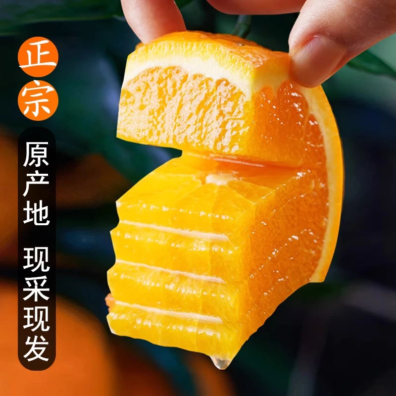 崀山祥龙正宗纽荷尔脐橙新鲜甜橙子当季天然阳光皮薄香甜水果