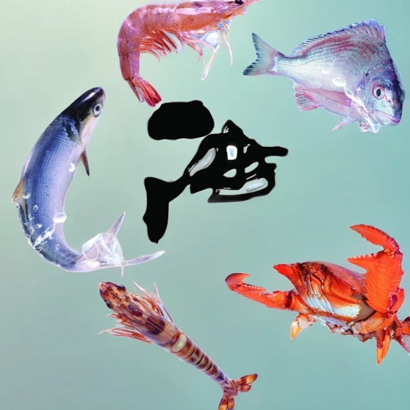 东山灯捕中管  白灼爆炒都美味 厦门发货  顺丰包邮包鲜到家