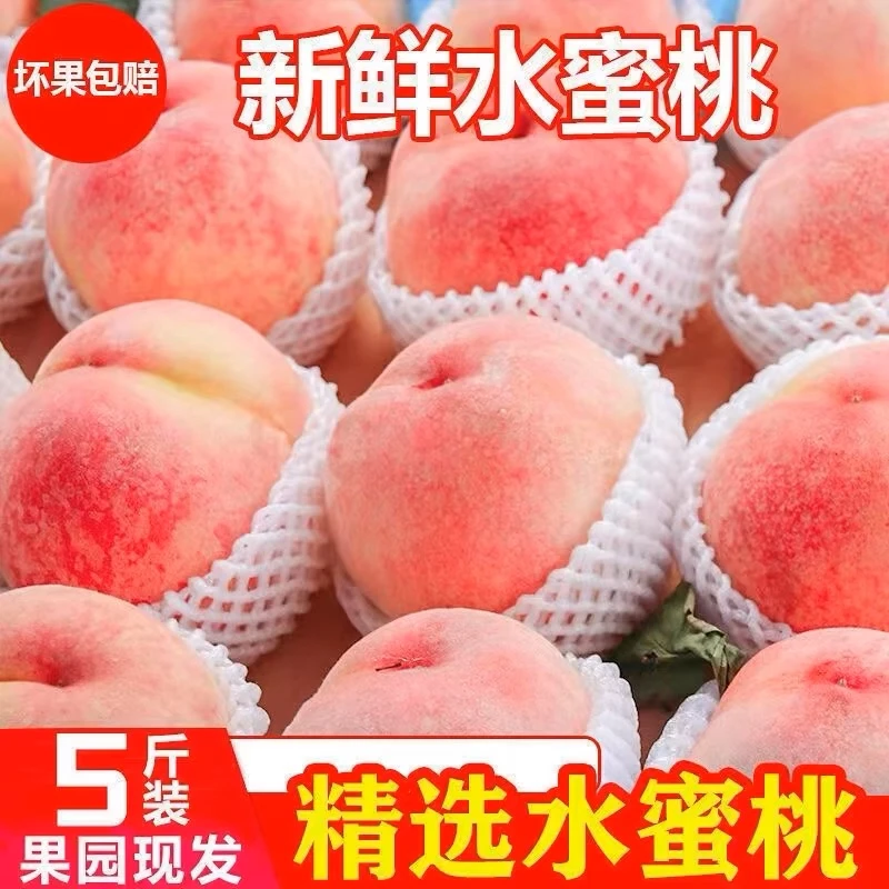 【坏果包赔】山东新鲜雪桃红心桃子正宗水蜜桃脆甜水果4.8-5.2斤