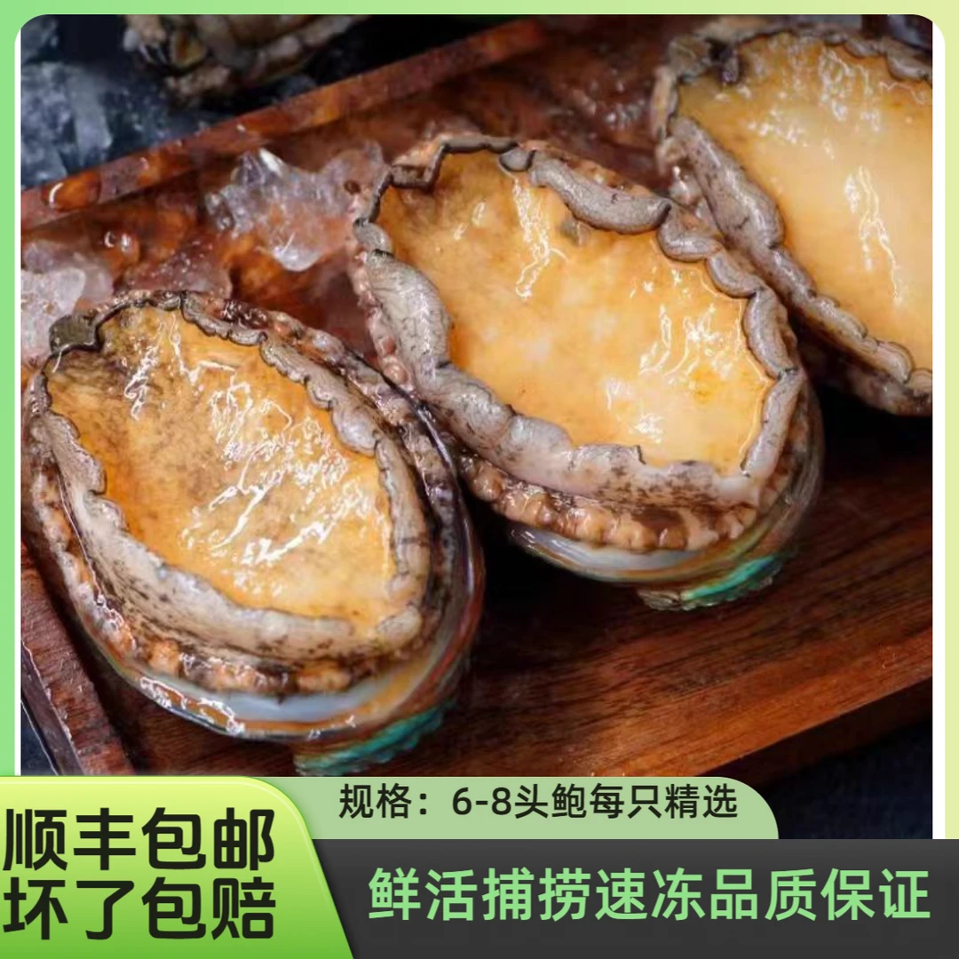 6-8头鲍规格口感肥美个头海捕海鲜水产活鲍捕捞速冻不新鲜包赔
