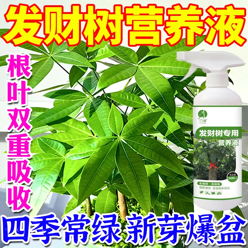 【绿叶宝】发财树专用营养液防黄叶烂根壮苗根一喷绿免稀释专用肥