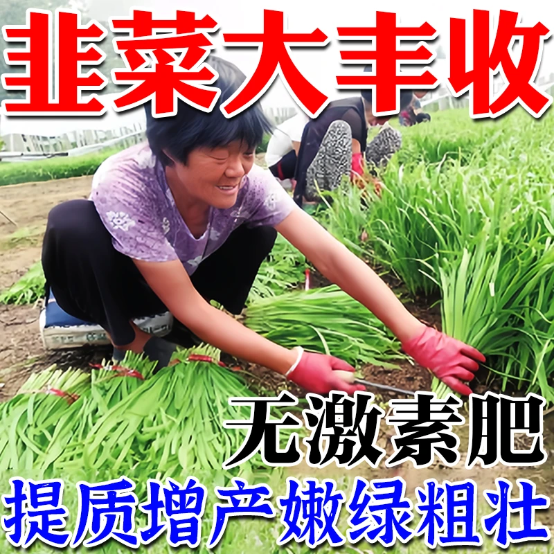 韭菜专用肥叶绿素正品肥料农用进口通用型壮棵提苗专用增绿叶面肥