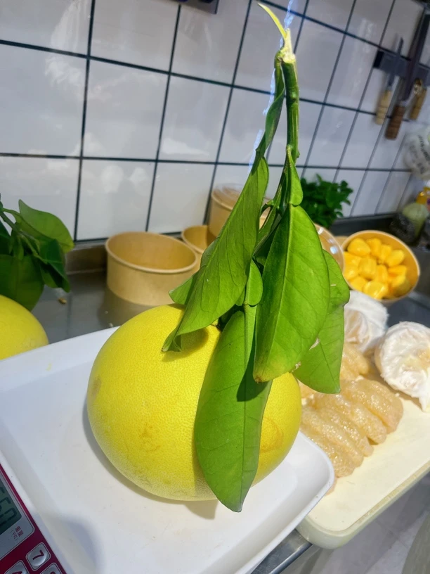 文旦柚 一物一拍