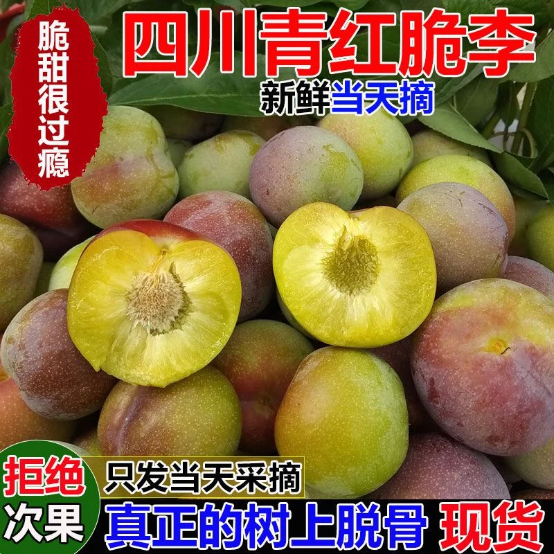 【大规格】四川茵红李半边红脱骨李子青脆李现摘水果包邮新鲜香甜
