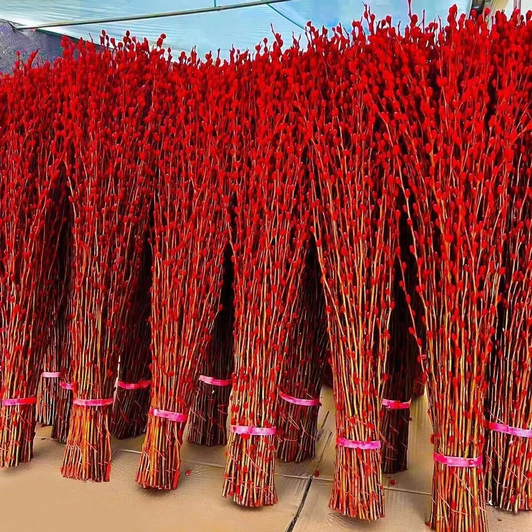 招财银柳干花真花鲜枝年宵花卉喜庆红色银柳年宵福桶客厅室内装饰