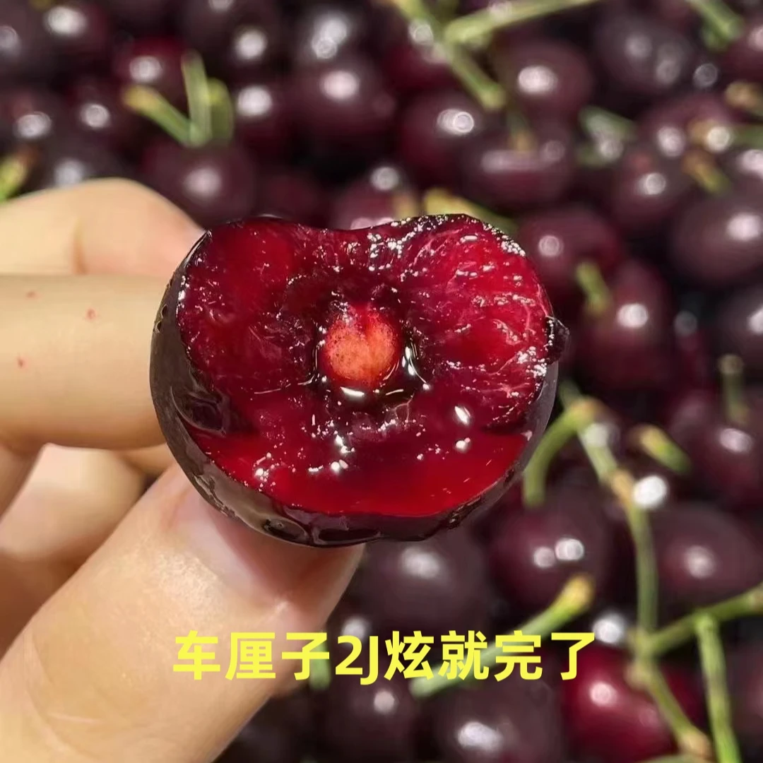 车厘子 3J 桑提娜整箱