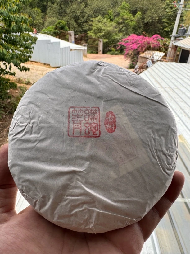 2022头春《蟒蛇箐古树》200克/饼