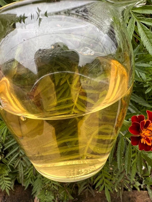 2024 红花庄 《正秋 坝卡囡古树》100克/500克