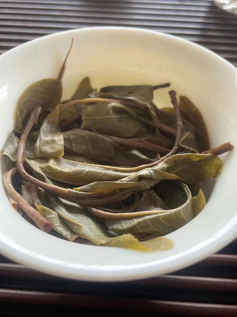 2024头春头采《滑竹梁子迷舍山古树》200克