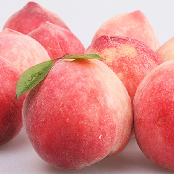 正宗泰山肥城贡桃软硬脆甜桃6个大果4.2斤现摘现发顺丰包邮