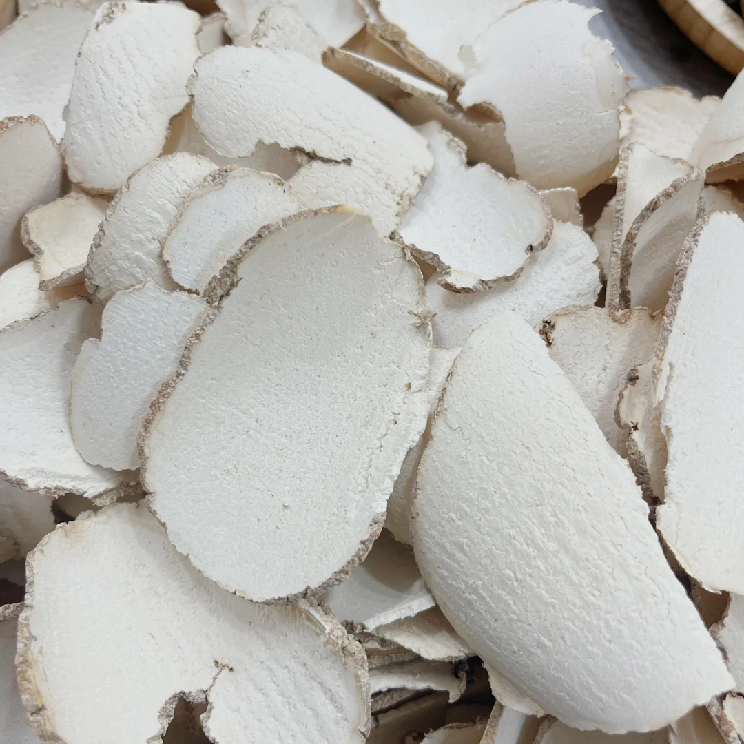 【康德】虎乳菌中片切片会咳咳煲汤煮水汤料250g