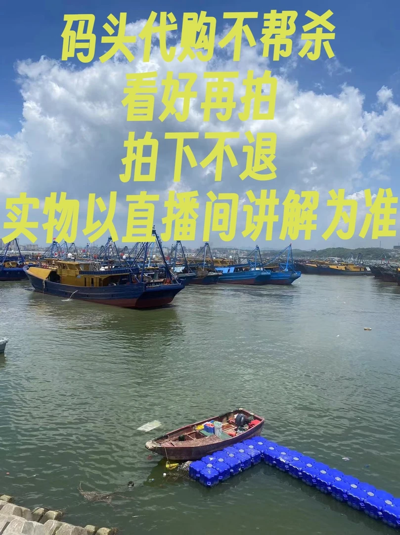 神泉港码头杂鱼组合