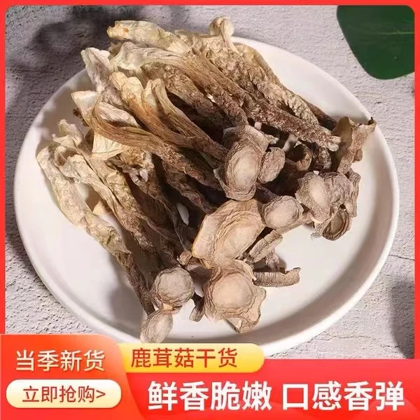 特价净重鹿茸菇干货食用菌古田脆脆菇无硫熏菌菇土特产煲汤炒菜