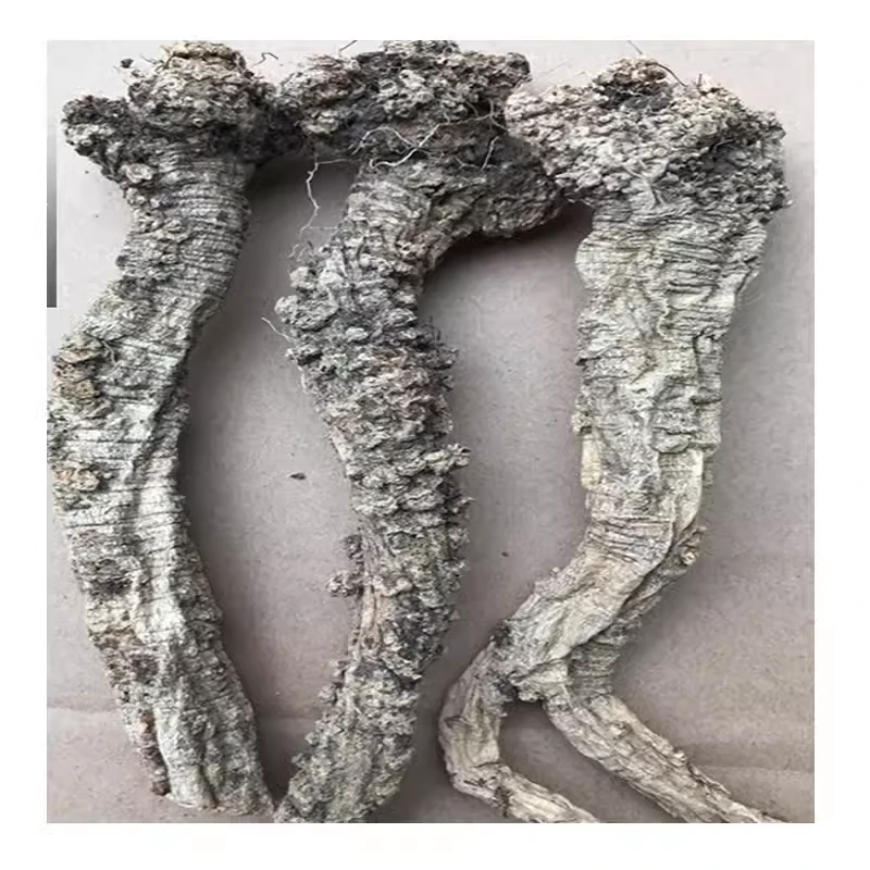 甘肃野山采挖野生党参500克新货太阳晒干无硫磺