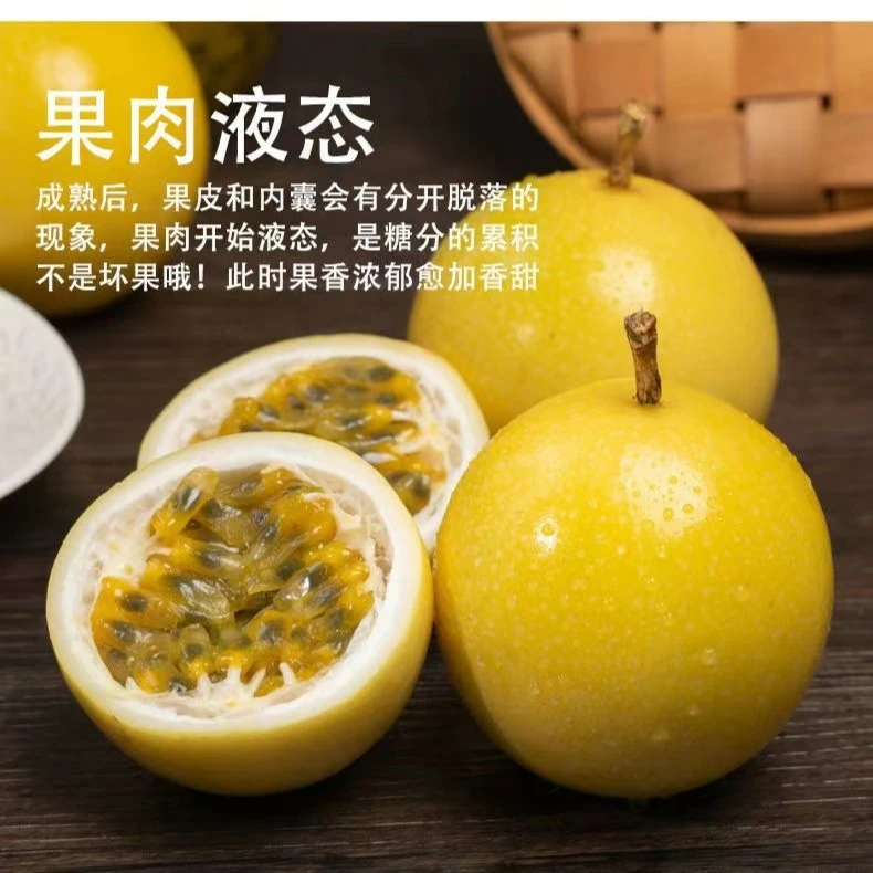 海南钦蜜9号黄金百香果采摘新鲜香甜口感皱皮农家产地泡水中果*10
