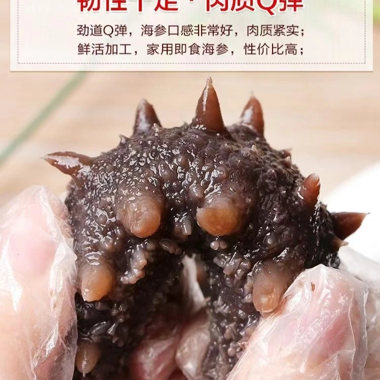 [寻哥推荐]即食大连刺参