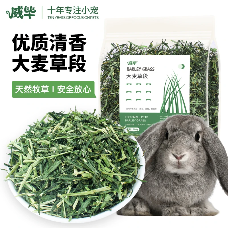 应季草新大麦草段兔子荷兰猪龙猫豚鼠天竺鼠兔粮兔饲料小麦草粮食