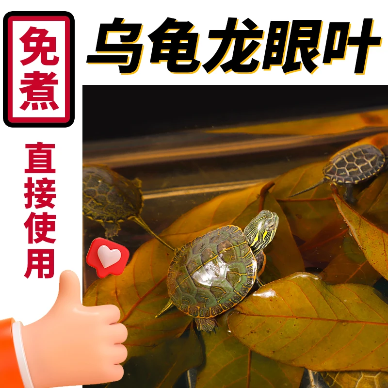 乌龟优质龙眼叶养龟造景天然免煮防腐皮烂甲改善水质乌龟缸腐甲