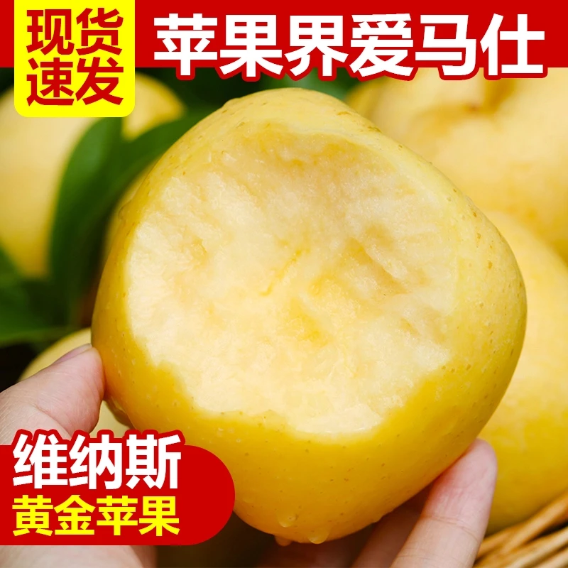 黄金维纳斯黄奶油苹果新鲜水果整箱富士糖心脆甜农产品纯甜