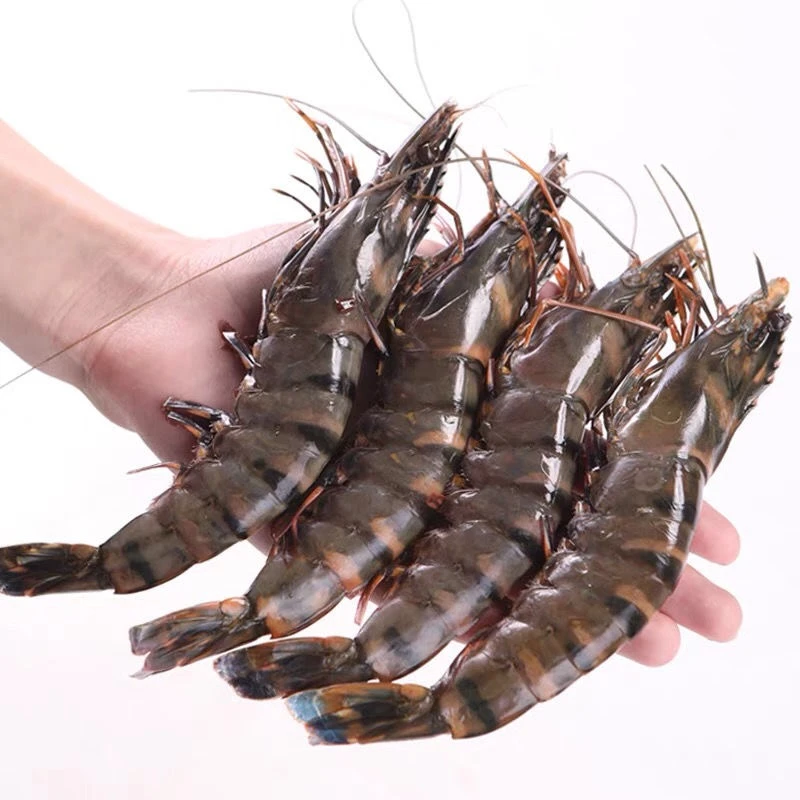 【净重3斤/盒，无冰】速冻13/40超大黑虎虾老虎虾斑节虾新鲜活虾速冻