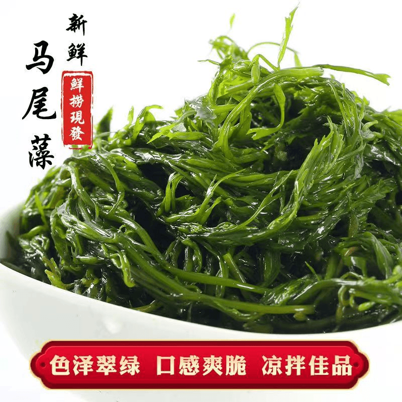 盐渍马尾藻羊栖菜鞭炮笋海藻即食海草长寿菜火锅串串配菜商用凉拌