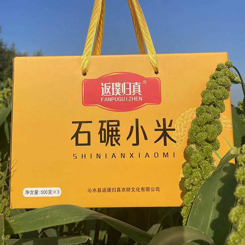 返璞归真山西小米黄小米农家特产粘稠小米粥营养丰富