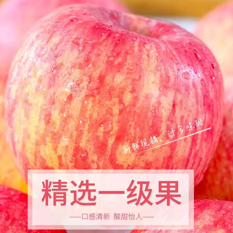 山东沂源中庄红富士苹果皮薄汁多肉脆原生态香脆重量新鲜精品营养