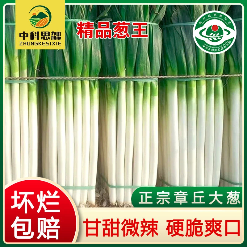 带地理标识正宗章丘大葱新鲜原产地3斤/5斤高大脆甜礼盒装水果葱
