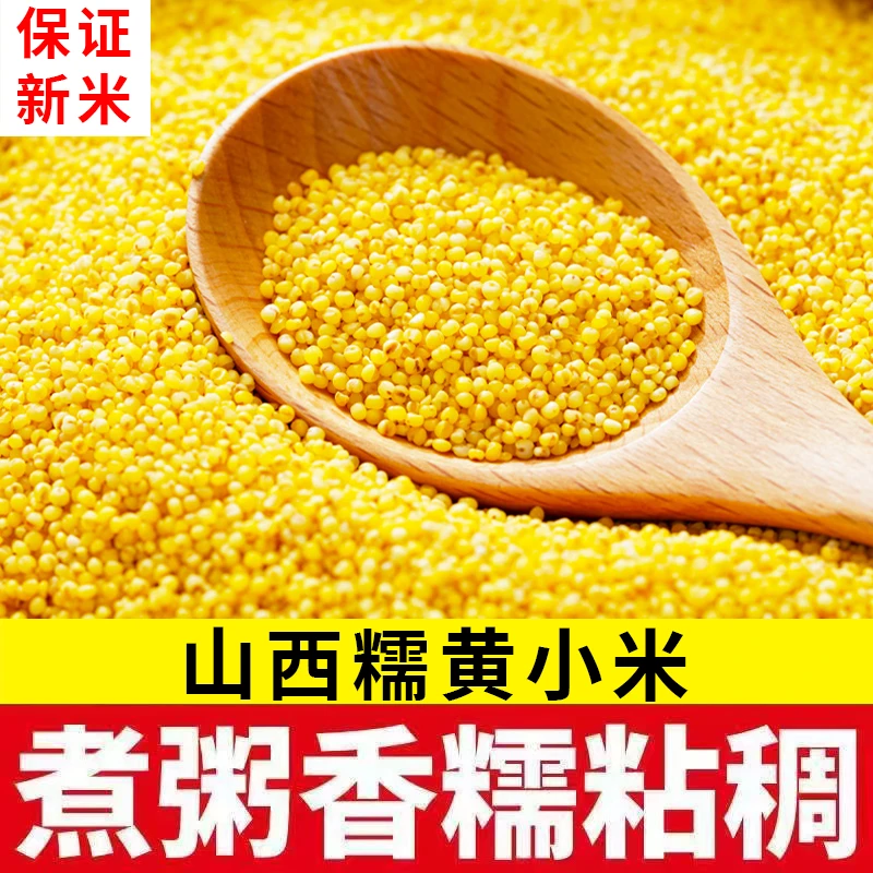 【24年新小米】山西油糯黄小米优质米熬粥米油多