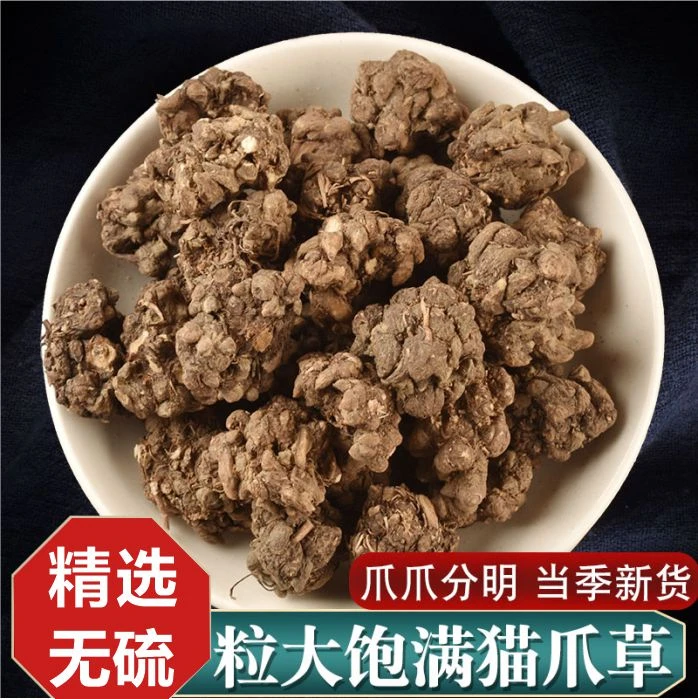 猫爪草三散草小毛茛猫草新货猫瓜草爪爪分明50克/100克/250克叶菜