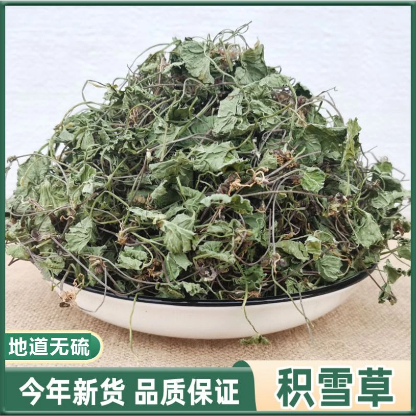 野生积雪草250克500g克积雪草新货无硫马蹄草干货叶菜