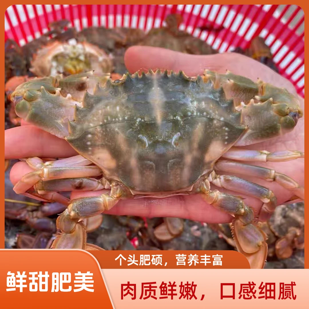 【海虹花盖】本地的肉质鲜甜肥美 3斤起 同城跑腿当天到 嫌小勿拍