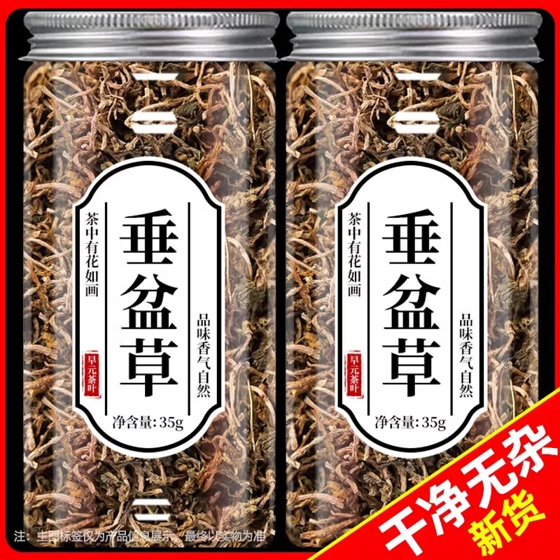 【精选】垂盆草正品新鲜新货中药材食用盆垂草锤盆草茶泡水泡茶喝肝