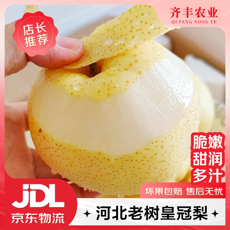 【齐丰农业】河北石家庄皇冠梨 果脆多汁 满嘴留香4.5斤 坏果包赔