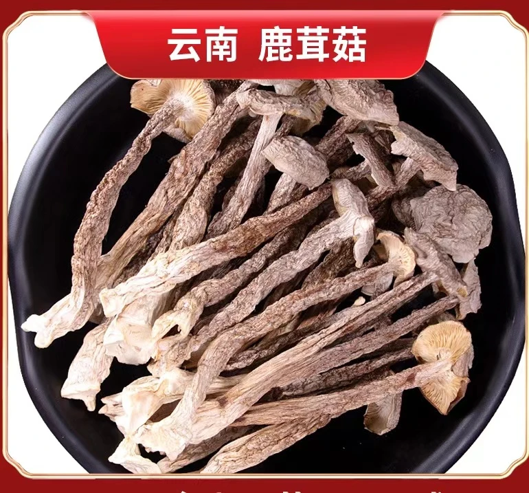 高山新货精选鹿茸菇干货无硫炒菜炖鸡煲汤鲜美炒肉特产鹿茸菌