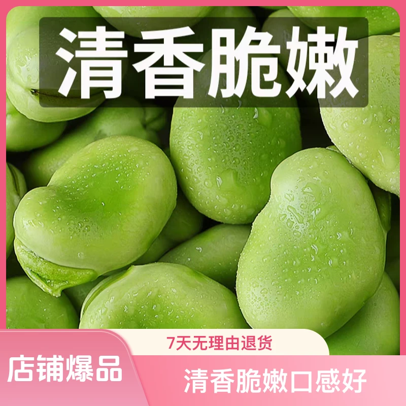 南通自家现摘现剥非冷冻新鲜大白皮蚕豆粒3斤装（10斤蚕豆加工）