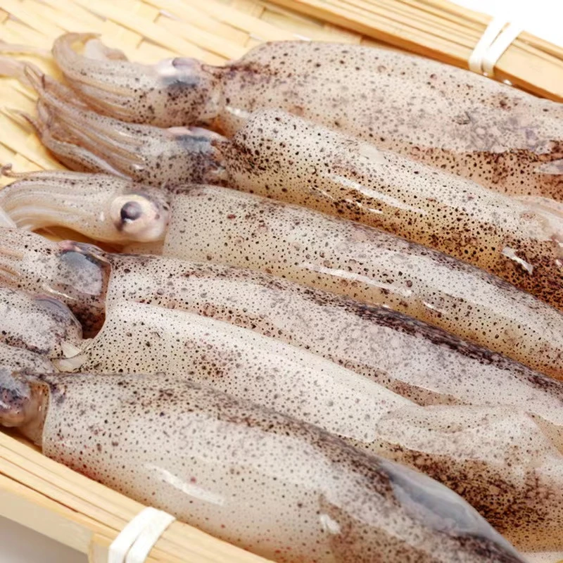 新鲜海兔子笔管鱼籽乌 净重4斤 【公母混发】