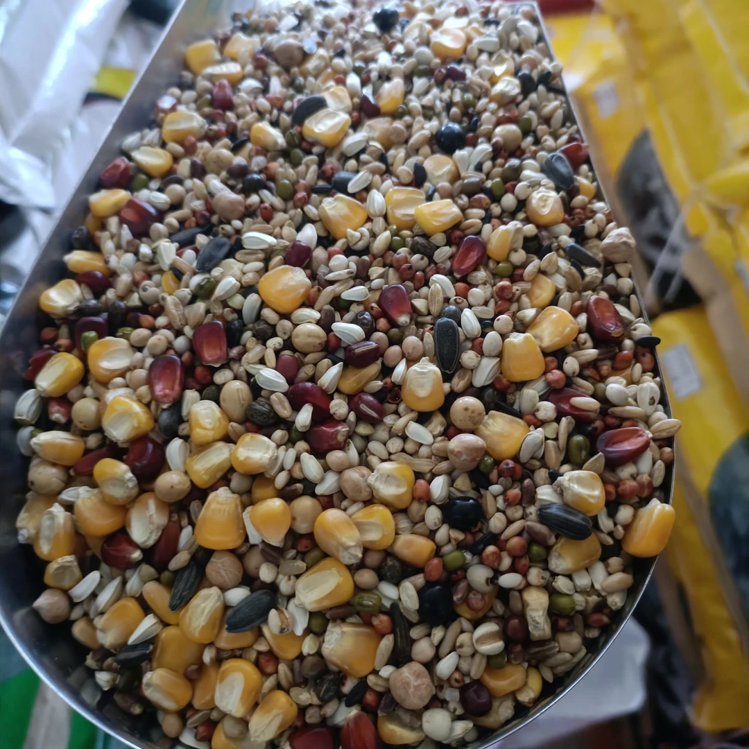 首佳上品无豆赛飞鸽粮 赛鸽赛飞鸽粮信鸽赛鸽鸽粮