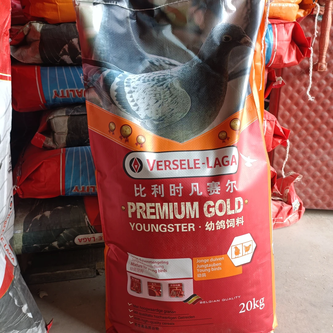 凡赛尔黄金幼鸽饲料
