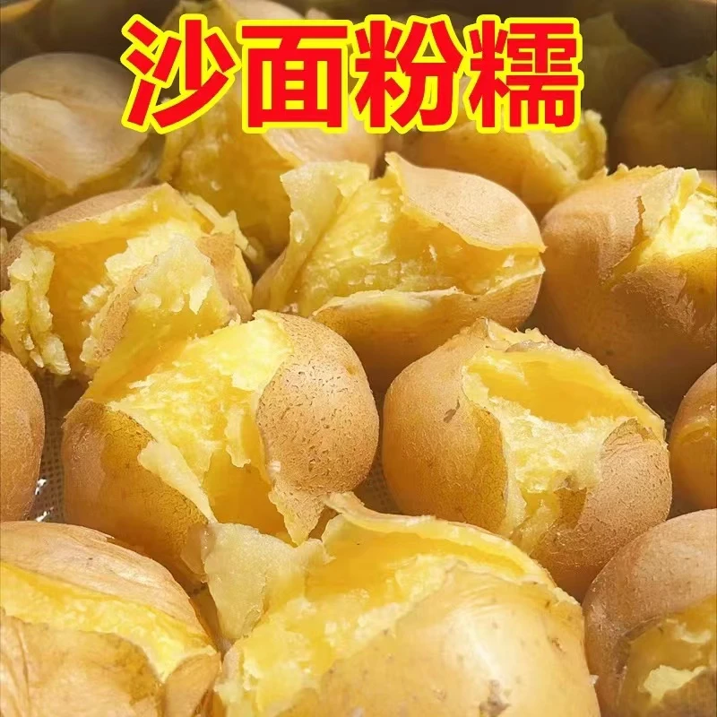 超级粉糯！陕北榆林新货土豆3斤装！