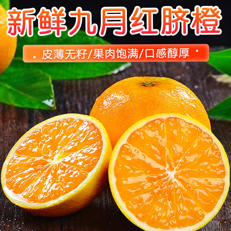 【高途专属】湖北秭归九月红果冻橙新鲜净重4.5斤现摘现发爆汁橙