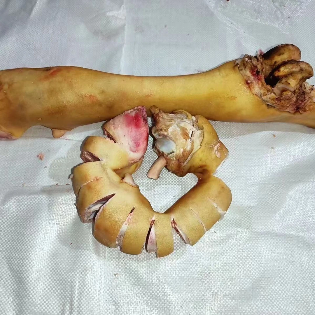 新鲜牛蹄 整只带筋散养黄牛蹄火烧去毛0添加家用商用批发顺丰包邮