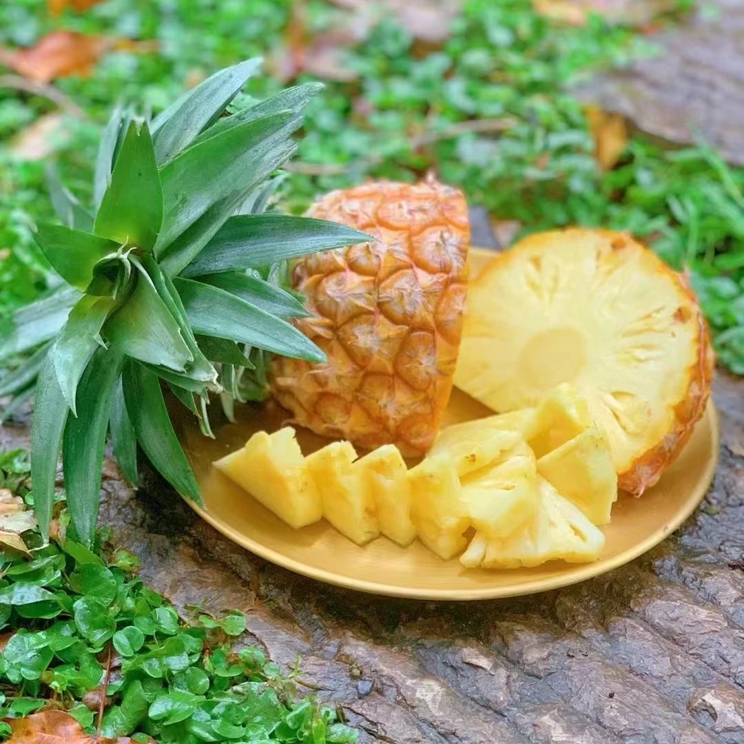 西双版纳正宗西双版纳甜蜜蜜凤梨树熟新鲜采摘热带水果生态食用