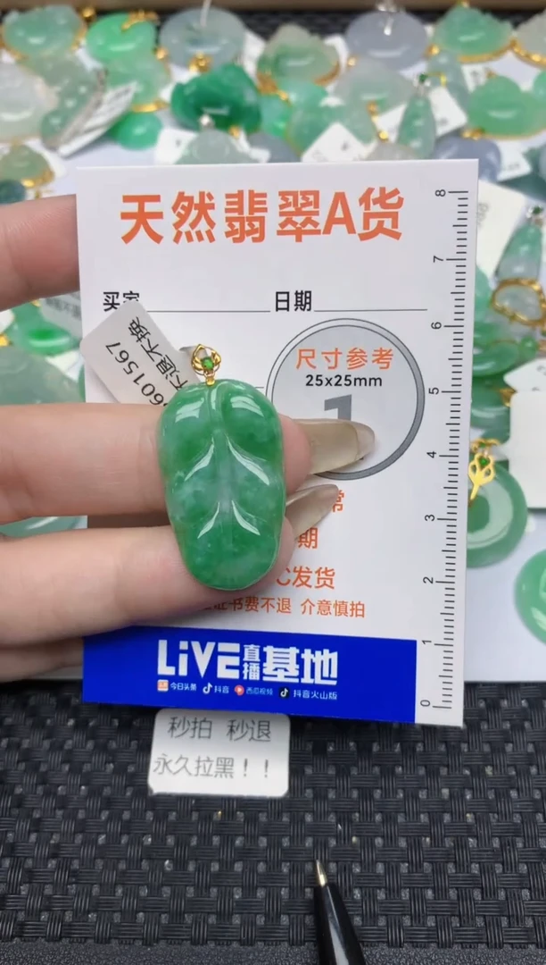 【闪购商品】翡翠颈饰18K金镶嵌265  天然翡翠A货