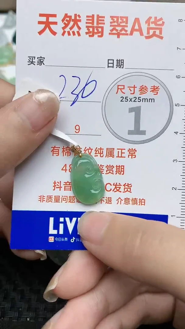 【闪购商品】翡翠颈饰未镶嵌67