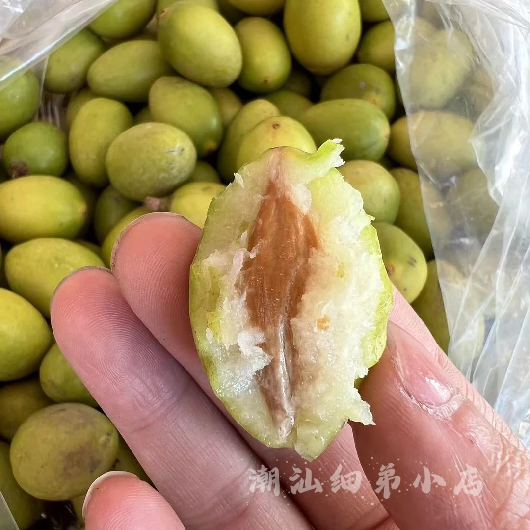 金灶本地纳种橄榄 肉厚多汁 生吃回甘少渣 新鲜现摘 一斤装